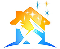 Carpet Cleaner